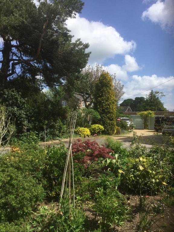 Beech View Cottage Downham Market Buitenkant foto